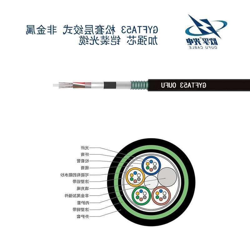 嘉峪关市GYFTA53光缆