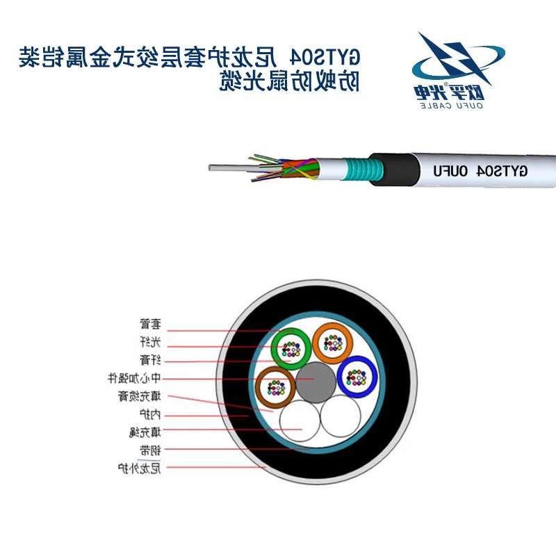 盘锦市GYTS04光缆